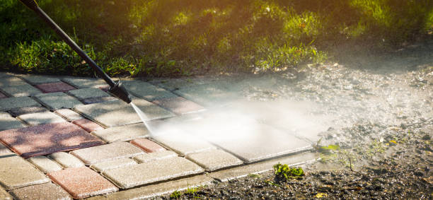 Best Animal Enclosure Cleaning  in Leisuretowne, NJ